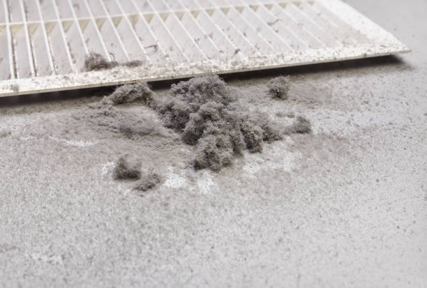 Best Air Duct Cleaning Near Me  in Jonesboro, IL