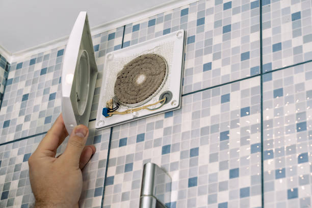 Best Dryer Vent Cleaning Services  in Jonesboro, IL