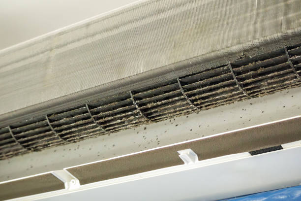 Best Ventilation Cleaning Services  in Jonesboro, IL