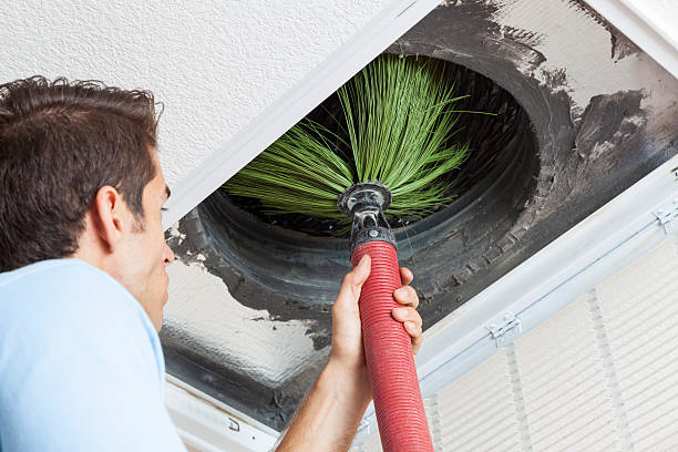 Best Home Air Vent Cleaning  in Jonesboro, IL