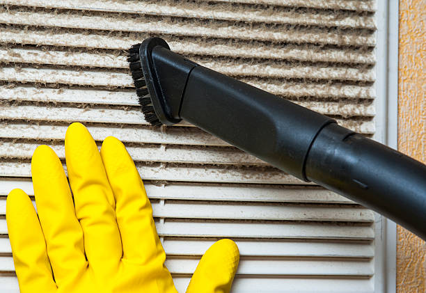 Best HVAC Duct Inspection Services  in Jonesboro, IL